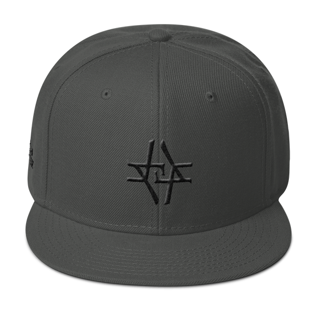 Ansel Crest Snapback freeshipping - Lonely Floater